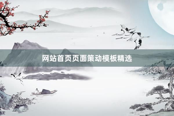 网站首页页面策动模板精选