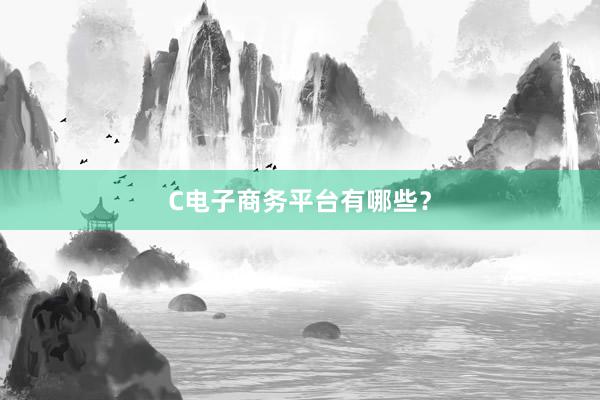 C电子商务平台有哪些？