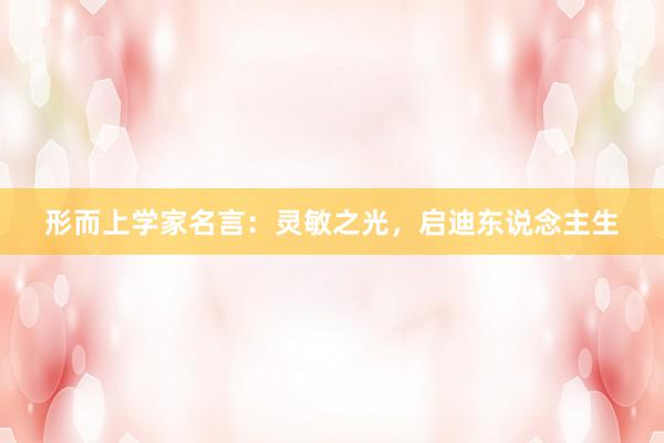 形而上学家名言：灵敏之光，启迪东说念主生