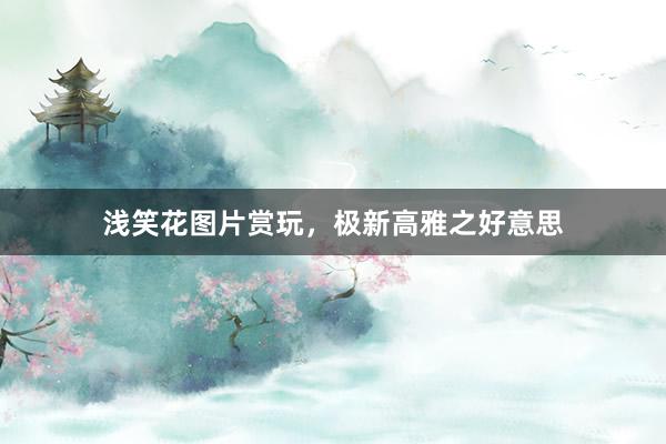浅笑花图片赏玩，极新高雅之好意思