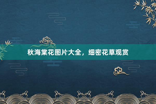 秋海棠花图片大全，细密花草观赏