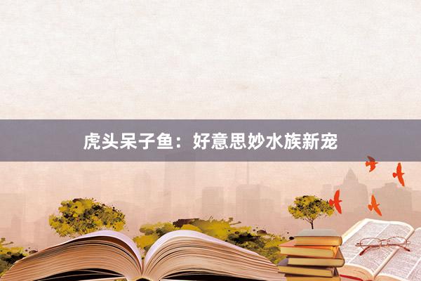 虎头呆子鱼：好意思妙水族新宠