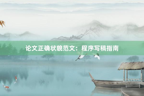 论文正确状貌范文：程序写稿指南